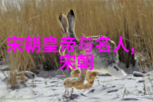 赵湘