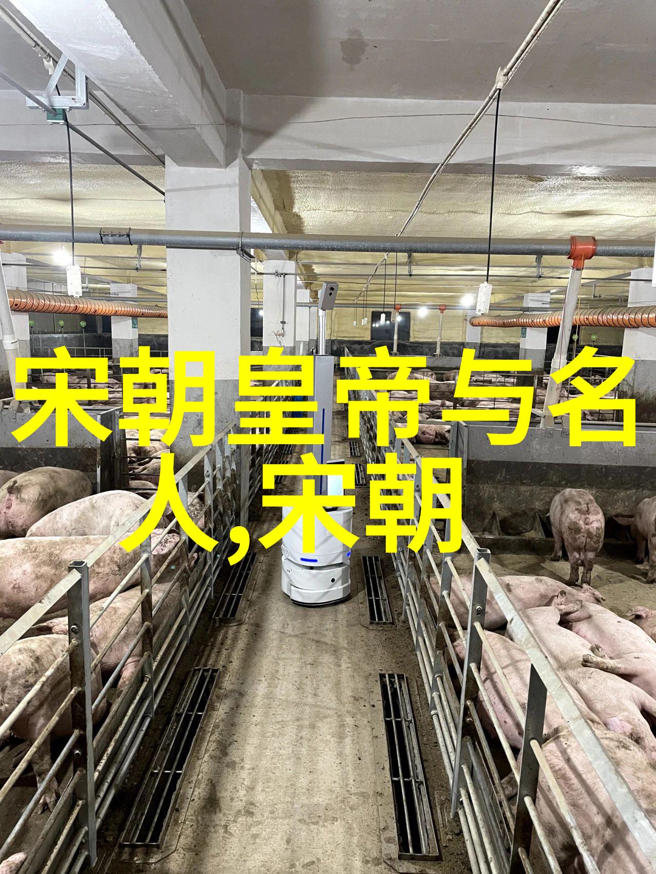 沈贵妃