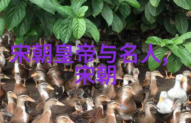 耶律宗真